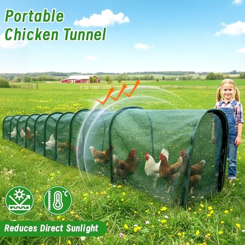Chicken Runs for Yard,79" & 157" Extra Long Foldable Chicken Tunnels for Outside,All-in-One Kit with Sun Protection Net, Removable Door, Frame & Tools (Green, 393 * 21 * 32 inches) - size: 393*21*32 inches