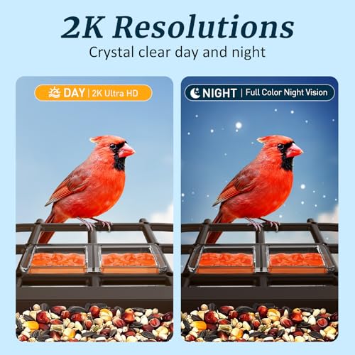 Bird Feeder with Camera Solar Powered, 2K HD Live Video Smart Bird Camera for Outdoors, Motion Detection with Instant Alerts, IP65 Waterproof, Bird Watching Gifts for Nature Lovers | AI Bird Recognition | Capture Birds in 2K HD | Built for Outdoors | Sola