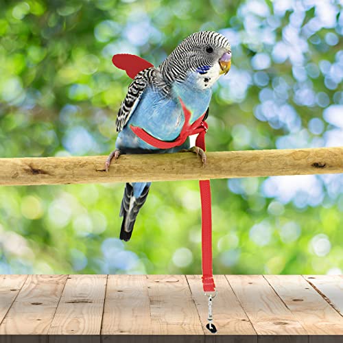 Dnoifne Pet Parrot Bird Harness and Leash, Adjustable Training Design Anti-Bite, Bird Nylon Rope with Cute Wing for Parrots, Suitable for Scarlet, Keck, Mini Macaw and Same Size Birds (red) - color: red