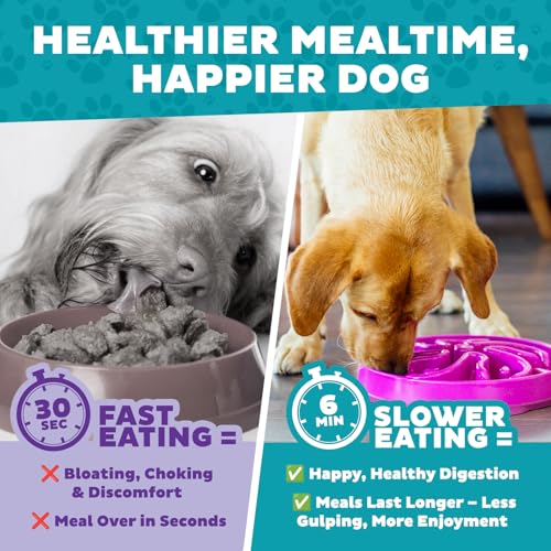 Outward Hound Fun Feeder Slo Bowl – Large 4‑Cup Capacity,Slow Feeding,Medium to Large Dogs,Non‑Slip,Purple,Flower Pattern,(Pack of 6) - color: Purple, size: Large (Pack of 6)