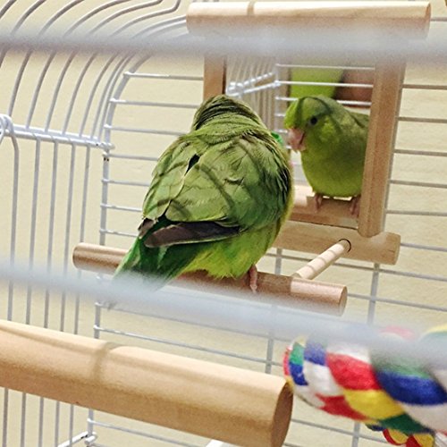 HANZE Bird Mirror Swing with Rattan Ball | Natural Wood Parrot Toy with Metal Hooks for Macaws, Cockatiels, Parakeets, Lovebirds | Safe Chewing & Mental Stimulation - color: 1 Pack