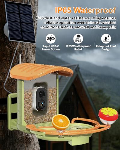 Bird Feeder with Camera, 2K HD Camera Birds Feeder with AI Bird Recognition, Solar Powered Smart Birdfeeder with Bath, App Control, Color Night Vision, Gift Box Package, Easy Install - color: Green, size: Bath