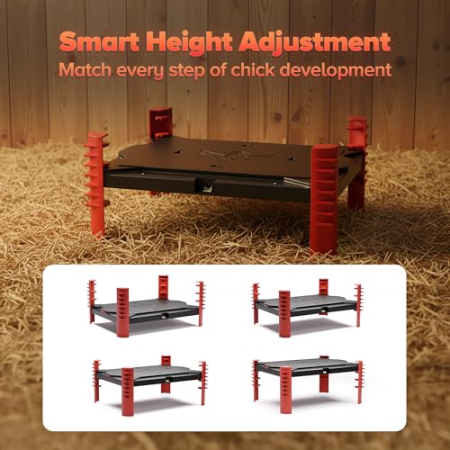150W Chick Brooder Heater Plate, 16"x11" | 2-in-1 Brooder Plate for Chicks & Poultry & Coops, Adjustable Height, Smart Thermostat, Safe & Energy Saving - size: 16.0"L x 11.0"W x 3.0"H