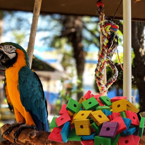 GANAZONO 100Pcs Parrot Wood Blocks Toys Wooden Blocks Bird Chewing Toy Bird Bite Toys Mini Wood Chips DIY Craft for Parrot Playing Chewing | 100Pcs Safe Bite Toy for Small Birds Teething Grinding Fun Mixed Colors for Cockatiels Parakeets and Conures