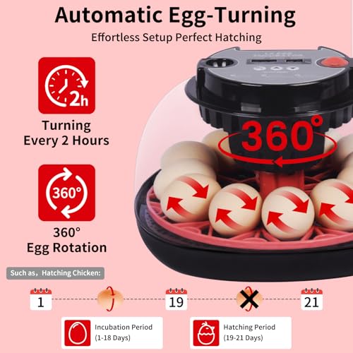 Incubators for Hatching Eggs with Automatic Egg Turning,Temperature & Humidity Control, Come with Egg Candler, External Water Bottles 360° Clear View Incubator for Hatching Chicken Eggs Quail Duck