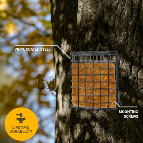 Birds Choice Suet Cage Feeder, Holds 1 Suet Cake | Hanging Bird Suet Feeder for Woodpeckers, Jays, Nuthatches | Vinyl Coated Grids | Sturdy for Garden, Backyard, Outdoor | 4.75" L x 1.625" W x 6" H | Holds 1 Suet Cake or Seed Block, Hanging Wire Cage Desi