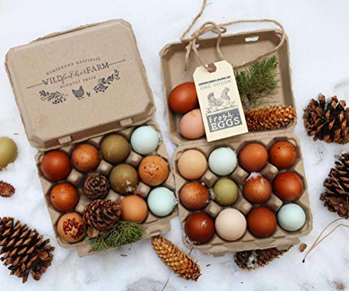 Vintage Egg Cartons for 12 Large Eggs – Classic 3x4 Layout – Durable Recycled Cardboard – Farmhouse Style – Eco-Friendly Packaging - Tan 65 Pack - color: Tan, size: 65