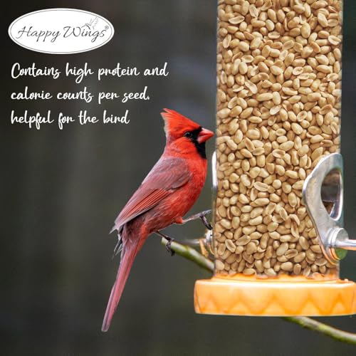 Happy Wings 5LB Shelled Peanuts Bird Food, No Grow Seeds, 100% Edible | High in Oil & Protein, High Energy Content, No Waste Bird Seeds, Heat Treated at Optimum Temperature, USDA & BRC-GS Approved - size: 5 Pound (Pack of 1)