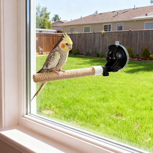 Natural Flax Bird Perch Stand with Strong Suction Cups | Movable Parrot Training Perch for Window/Mirror/Car/Tiles | Universal for Budgie, Cockatiel, Conure (Basic Parrot Perch) - color: Basic Parrot Perch