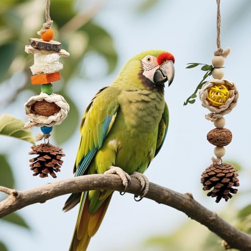 Natural Bird Chewing Toys with Pinecone Nuts and Corn, Wooden Cage Toy for Small to Medium Sun Conure Budgerigar Pacific Parrotlet
