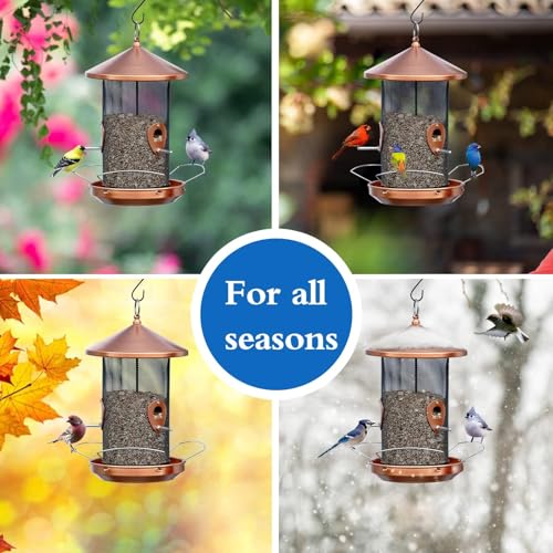 Large Bird Feeders for Outside: 3-5LB Capacity Seed Feeding | 12.6inch Easy Hanging for Tree Garden Yard Outside Decor Cardinal Finch - Gardening Gifts for Women Men
