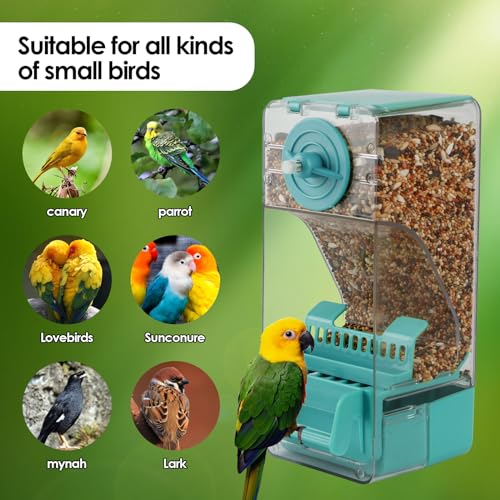 Bird Feeder No Mess 2PCS Automatic Clear Bird Seed Food Container Acrylic Parrot Feeder Dispenser Cage Accessories for Parakeet Budgies Cockatoo Canary Love Bird (Blue) - color: Blue