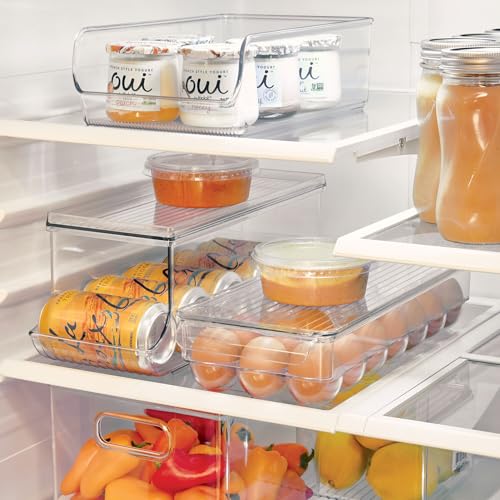 iDesign Clear Plastic Egg Holder for Fridge with Lid, 2-Pack | 21 Egg Storage Capacity, Container Organizer Bin - color: Clear, style: Pack of 2