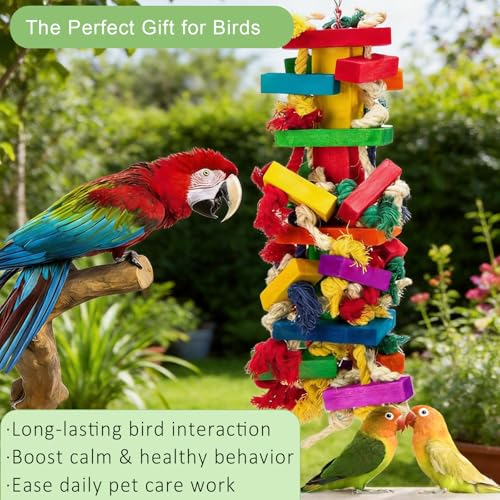 Parrot Toys for Large Birds, Natural Wood Chew Toy | Strong construction withstands daily chewing by macaws, African greys and similar large birds.