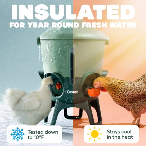 Omlet Insulated Chicken Waterer, 3 Gallon | Automatic Poultry Water Dispenser with 5 Cups & Nipples Included | BPA-Free | Anti-Roost Lid | Sage Green - color: Sage Green, size: 3 Gallon