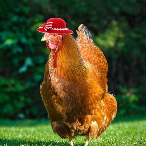6-Pack Mini Chicken Hats for Hens, Dolls Hats, Cute Decorations | Cotton & Polyester, 2.76 in (7 cm), Adjustable Chin Strap, Fits Small Animals - style: Bowknot-Pearl-New