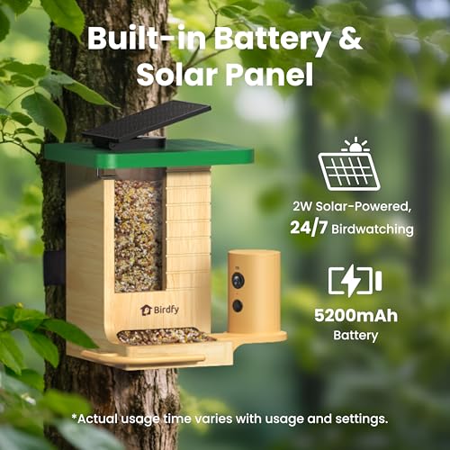 Smart Bird Feeder with Camera Solar Powered, Slow-Motion Video & Night Insight, AI Identify 6000+ Species Lifetime Free, Ideal for Outdoors Bird Watching & Gifts for BirdLovers, Wood | Fir Wood, No Subscription, Live Stream, Night Insight, 1080P, AI Bird