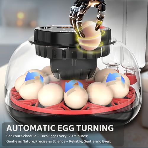 12 Egg Incubator for Hatching Eggs with Fully Automatic Egg Turning, Humidity Control by Bottles, Incubators for Chicken, Ducks, Quail, and Other Poultry Eggs, 360° View with Clear Window