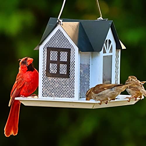 Kingsyard Bird Feeder House for Outside, Metal Mesh Wild Bird Feeder with Triple Feeders for Finch Cardinal Chickadee, Large Capacity, Weatherproof and Durable | with Triple Feeders, Squirrel Chew Proof, 3 lbs Large Capacity, Weatherproof, Easy to Clean &