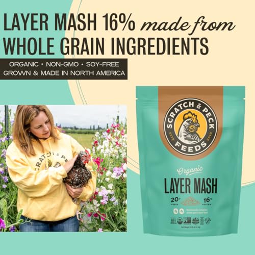 Scratch and Peck Feeds | Layer Mash for Chickens & Ducks | 10 lb Pouch | 16% Protein, Corn & Soy Free, Fermentable Whole Grains, Certified Organic & Non-GMO Project Verified, Complete Nutrition - size: 10 Pound (Pack of 1), style: Layer Feed