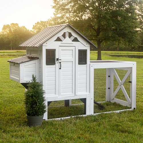 Backyard Discovery Sweetwater Cedar Wooden Chicken Coop for 4-6 Chickens with Run, Nesting Box, Automatic Door, Roosting Bars, Galvanized Steel Roof, Wire Mesh Protection, Ramp, Rooster and Hen House