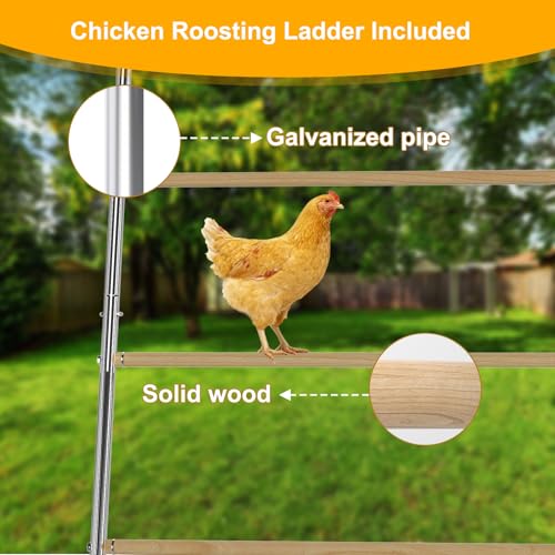 Chicken Perch for Coops Chicken Roosting Perch/Ladder for Hens Chick | 42''x 54.5'' for 10-12 Chick Outdoor Indoor Use Chick Coop Accessories for Backyard Poultry Habitat Supplies - color: Silver, size: 55.0"L x 40.5"W x 1.0"H