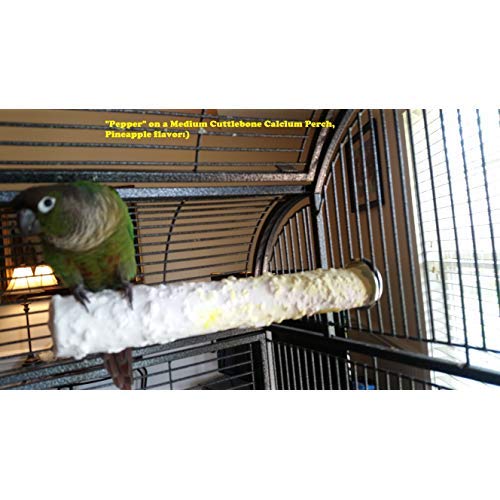 Polly's Edible Cuttlebone Calcium Bird Cage Perch for Budgies, Parakeets, Amazons, Blue & Golds, Macaws and Cockatoos.… (Variety, Medium) - color: Variety, size: Medium