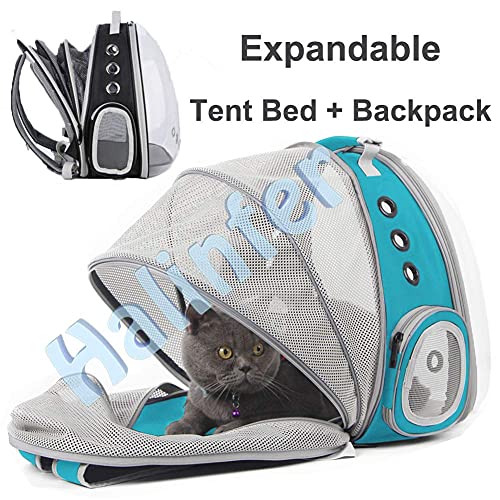 Back Expandable Cat Backpack Carrier, Fit up to 12 lbs, Space Capsule Bubble Window Pet Carrier Backpack for Cat and Small Puppy - color: Green