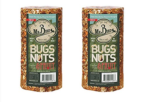Mr. Bird Bugs, Nuts & Fruit Cylinder, 2-Pack, 1 lb 8 oz | Wild Bird Seed For Outside Feeder | Premium Blend of Mealworms, Sunflower Hearts & Cranberries | No Mess, No Melt - size: 1.5 Pound (Pack of 2)