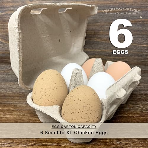 6-Egg Paper Egg Cartons - 24 Pack
