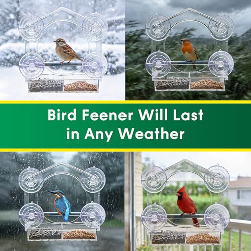 Clear Acrylic Window Bird Feeder for Outside - Transparent Glass Mount Birdhouse with Strong Suction Cups & Tray - Easy Indoor Viewing for Cats, Kids & Elderly