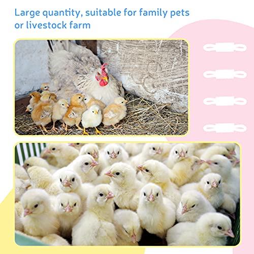 Patelai 50 Sets Baby Chick Leg Bands Splay Hobbles Brace Adjustable Poultry Leg Bands for Newborn Chick Bird Ducks of 1 to 3 Days Newly Hatched