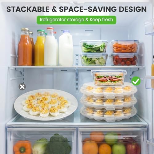 HANSGO Deviled Egg Containers with Lid, Deviled Egg Platter Carrier, Clear | Deviled Eggs Tray With 22 Slots for Party, Home Kitchen and Other Festival - color: Transparent