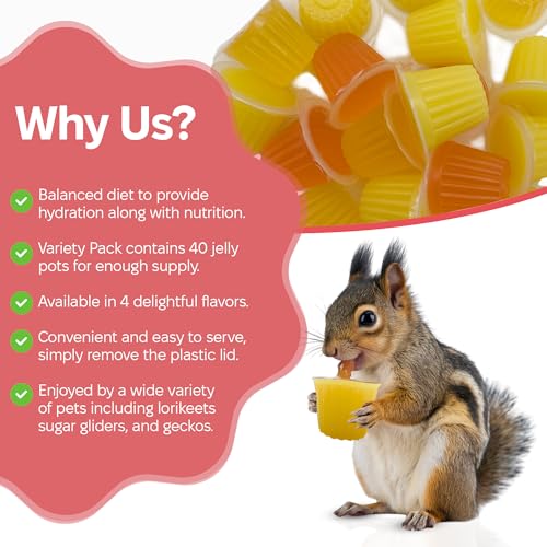 Snout and Shell Pet Jelly Pods Variety Pack - Nutritious Jelly Fruit Nectar Treats for Geckos, Sugar Gliders, Birds, Small Pets - Real Fruit Juice - 40 Cups