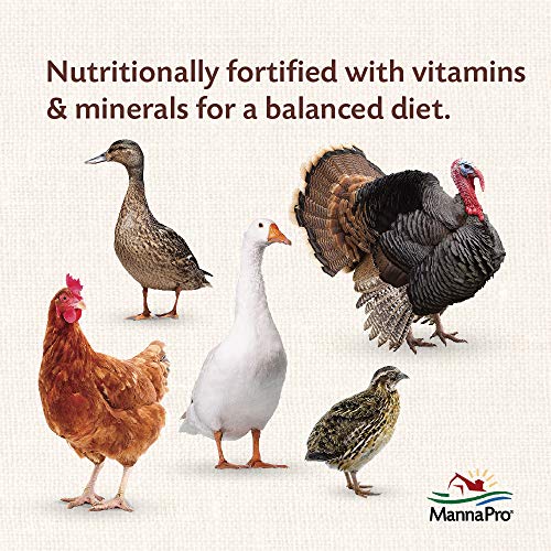 Manna Pro All Flock Crumbles with Probiotics, Chicken & Duck Food, 8 lb Bag | Complete Feed for Mixed Flocks, 16% Protein, Chicken & Duck Feed, Added Probiotics for Digestion, Easy-to-Eat Crumbles - size: 8 Pound (Pack of 1)