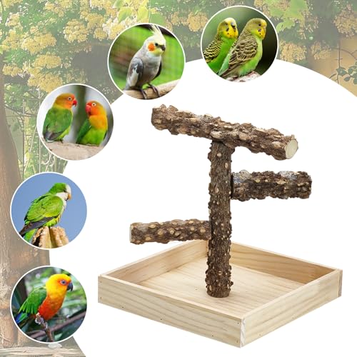 BNOSDM Portable Bird Perch Stand with Potty Tray, Natural Wood Tabletop Training Gym Parrot Playground Toy for Budgies, Cockatiels, Lovebirds,Conures Canaries - color: Three Levels Bird Stand