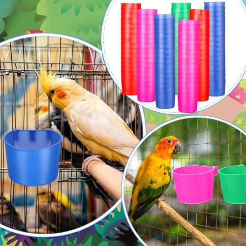 100 Pcs Cage Cups Chicken Feeder Cup 8 oz Hanging Bird Food Water Bowl Coop Bunny Cage Feeding Dish Game Fowl Supply for Poultry Pet Parrot Parakeet Rabbit Parakeet Pigeon(Blue, Red, Rose Red, Green) - color: Blue, Red, Rose Red, Green