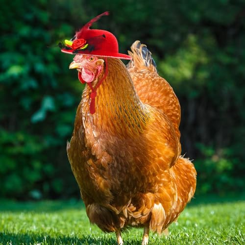 6-Pack Mini Chicken Hats for Hens, Dolls Hats, Cute Decorations | Cotton & Polyester, 2.76 in (7 cm), Adjustable Chin Strap, Fits Small Animals - style: Single-Flower-Suede-1
