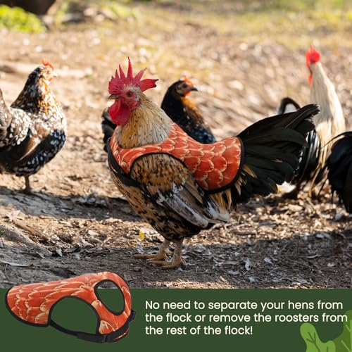 6Pcs Chicken Saddles for Hens, Adjustable Hen Aprons for Back Feather Protection, Waterproof Chicken Vest Jacket for Poultry, Fits Small to Medium Hens (3 Colors)