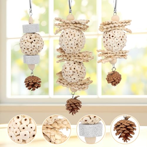 Wontee Bird Toys 3 Pack Parrot Foraging Hanging Toys Sola Ball Natural Nuts Chew Toys for Cockatiels Conures Parakeets Budgies Senegal (3 Pack) - size: 3 Pack