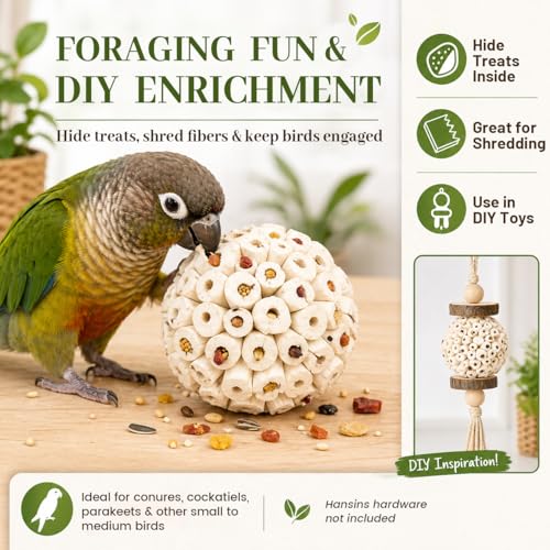 Bird Toys Sola Balls 2.36'' - 6PCS, Bird Foraging Toy, Soft Sola Atta Ball, Parrot Chew Shred Toy for Sharpening Claws and Beaks for Cockatiel, Parakeets, Conure, Love Birds, Budgie and Small Birds - color: 6 PK
