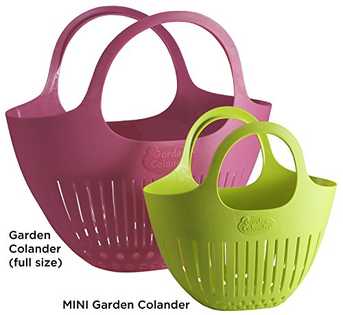 Hutzler Mini Colander Garden Basket, Small, Green - color: Green, size: Small