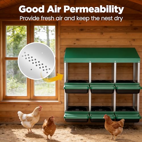 Eggluuz Chicken Nesting Box, 6 Compartments Egg Laying Nests Boxes for Hens - size: 6 Holes