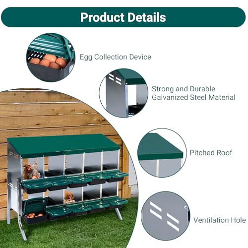 GarveeLife Chicken Nesting Box, 10 Compartments Nesting Boxes for Chickens, Chicken Laying Boxes with Metal Leg, Roll Away Nesting Box for Chickens Laying Egg to Protect Eggs, Green - color: green, size: 50.7"L x 20.5"W x 37.4"H