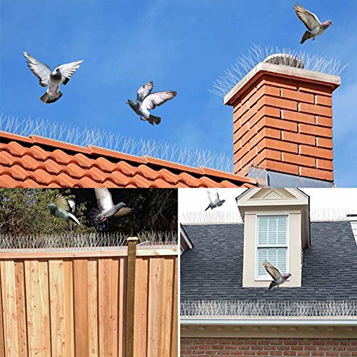 Bird Spikes Cover 11Feet Stainless Steel Pigeons Spikes Small Bird Spikes for Roof Fence Window Mailbox(10pcs) - size: 10.8Feet(10pcs)