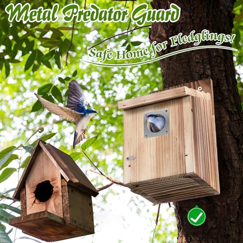 Dreyoo Bluebird Houses for Outside, 1-1/2” Entrance Hole Wooden Bird Houses for Outdoor with Metal Predator Guard, Secure Latch, Fledgling Grooves, Air Vents(Dark Wood) - color: Dark Wood