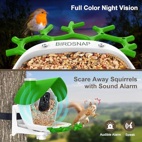 Smart Bird Feeder with Camera Solar Powered 2K HD Live Video with 32GB Card | AI Identifies 10,000+ Bird Species, Instant Alerts, IP65 Waterproof, Easy Setup, Bird Watching Gift for Bird Lovers - color: Light Green