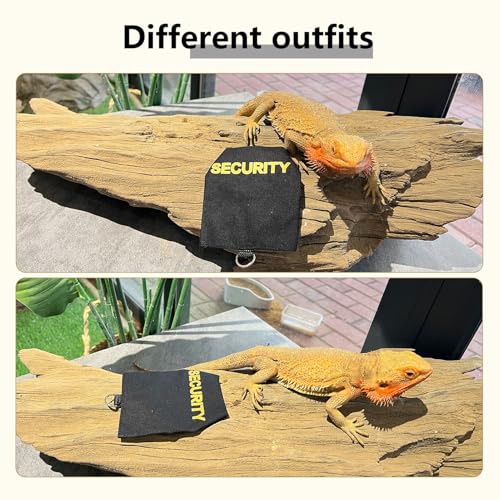 Bearded Dragon Carrier Backpack with Security Printing Harness Leash Set, Reptile Lizard Space Capsule Astronaut Clear Bubble Window Travel Carrier for Small Animal Guinea Pig(Black, Security Harness) - color: Black