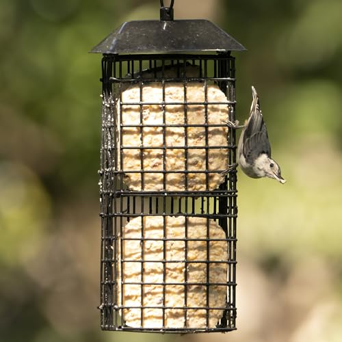 Wild Wings Metal Suet Cage Feeder for Outdoor Décor Wild Bird Feeders, 4 Suet Cakes Capacity, Hanging Suet Feeder, Black
