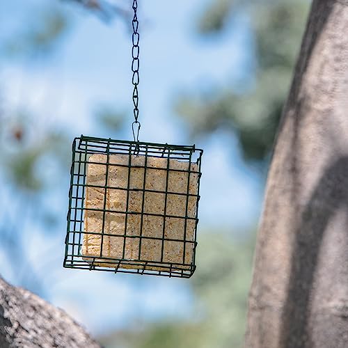 MEKKAPRO Suet Feeder Cage, Single Bird Feeder, Metal Chain, Outdoor | Single Capacity Suet Holder Recommended For Bird Feed, Ideal For Clinging Birds, Woodpeckers, And Nuthatches In Every Yard - size: Single